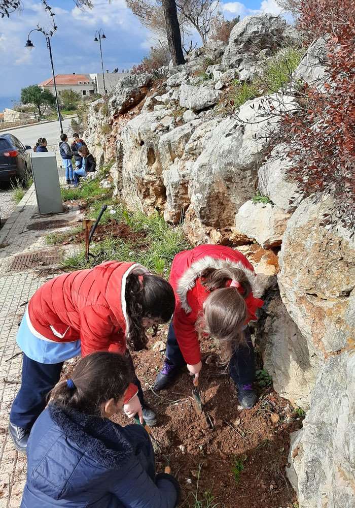 Plantation et reboisement : une initiative écologique et citoyenne